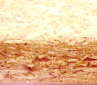 Close up